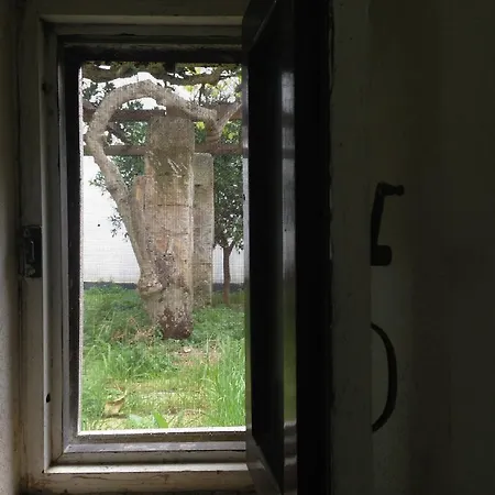 Corteminerva Gelso Moro Apartmán